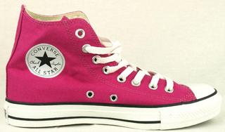 Converse All Star Hi Shoes - Gothic Cactus Flower